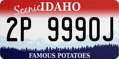 ID license plate 2P9990J