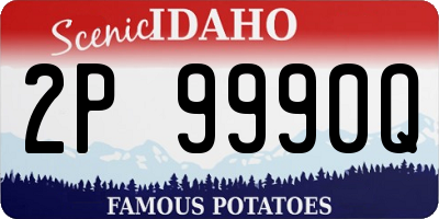 ID license plate 2P9990Q
