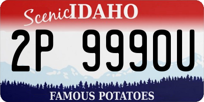 ID license plate 2P9990U