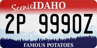 ID license plate 2P9990Z