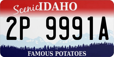 ID license plate 2P9991A