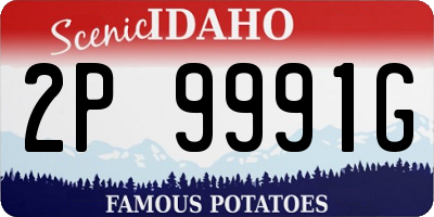 ID license plate 2P9991G