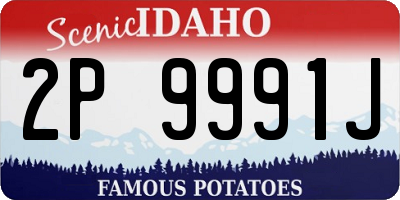 ID license plate 2P9991J