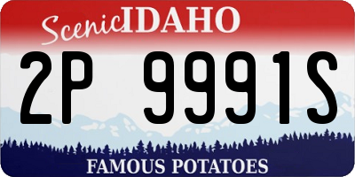 ID license plate 2P9991S