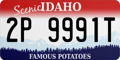 ID license plate 2P9991T