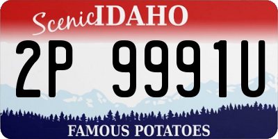 ID license plate 2P9991U