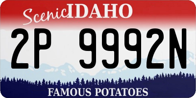 ID license plate 2P9992N