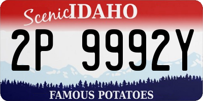 ID license plate 2P9992Y
