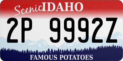 ID license plate 2P9992Z
