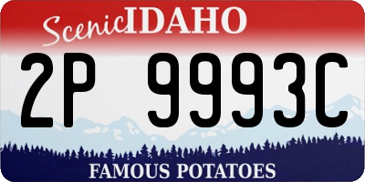 ID license plate 2P9993C