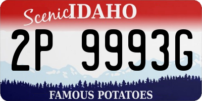 ID license plate 2P9993G
