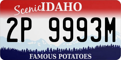 ID license plate 2P9993M