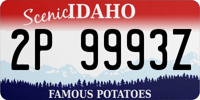 ID license plate 2P9993Z