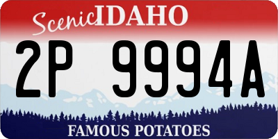 ID license plate 2P9994A