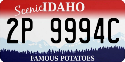 ID license plate 2P9994C