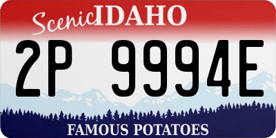 ID license plate 2P9994E