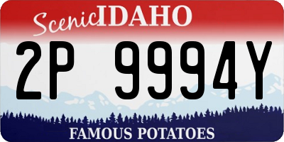 ID license plate 2P9994Y