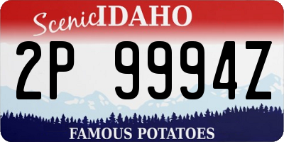 ID license plate 2P9994Z