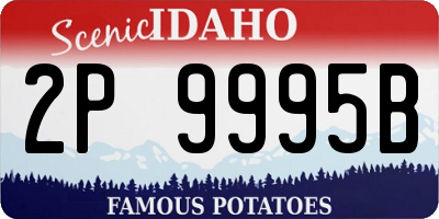ID license plate 2P9995B