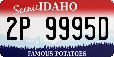 ID license plate 2P9995D