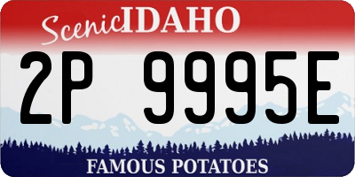 ID license plate 2P9995E
