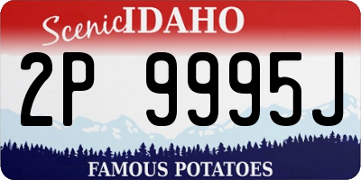 ID license plate 2P9995J