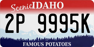 ID license plate 2P9995K
