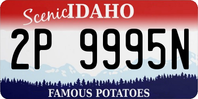 ID license plate 2P9995N