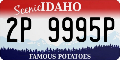 ID license plate 2P9995P