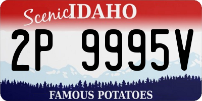 ID license plate 2P9995V