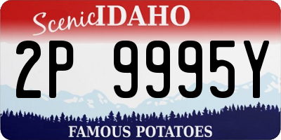 ID license plate 2P9995Y