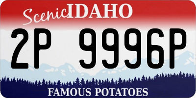 ID license plate 2P9996P