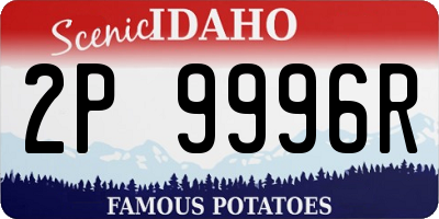 ID license plate 2P9996R