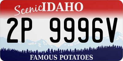 ID license plate 2P9996V