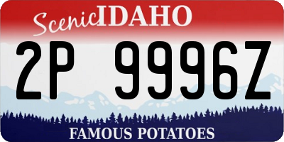 ID license plate 2P9996Z