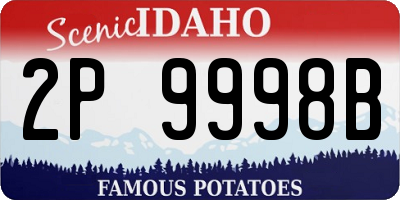 ID license plate 2P9998B