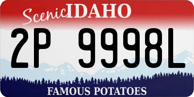 ID license plate 2P9998L