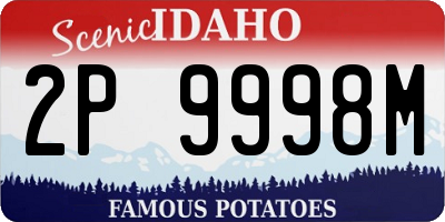 ID license plate 2P9998M