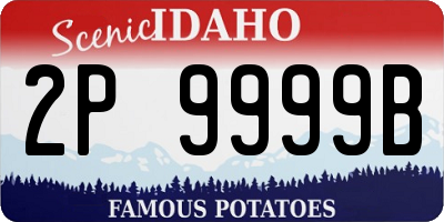 ID license plate 2P9999B