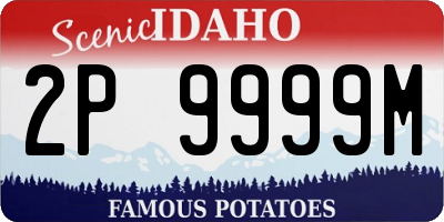 ID license plate 2P9999M