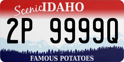 ID license plate 2P9999Q