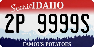 ID license plate 2P9999S