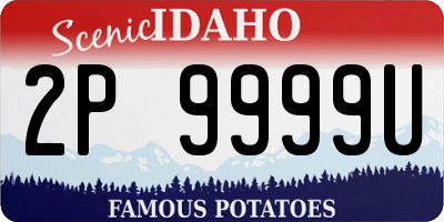 ID license plate 2P9999U