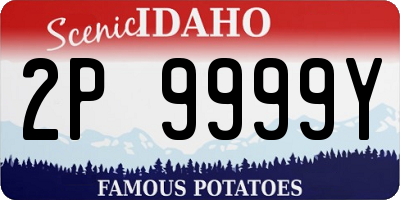 ID license plate 2P9999Y