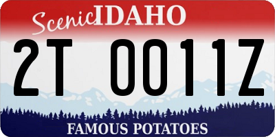 ID license plate 2T0011Z