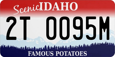 ID license plate 2T0095M