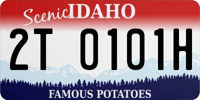 ID license plate 2T0101H