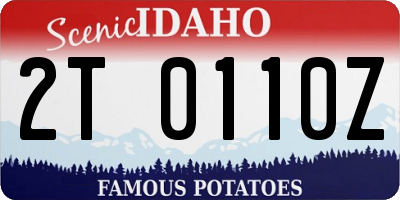 ID license plate 2T0110Z