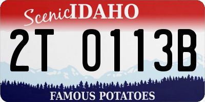 ID license plate 2T0113B