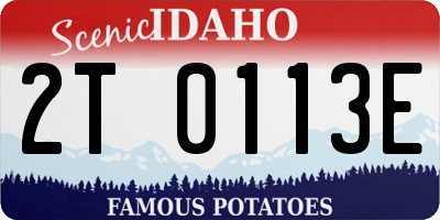 ID license plate 2T0113E
